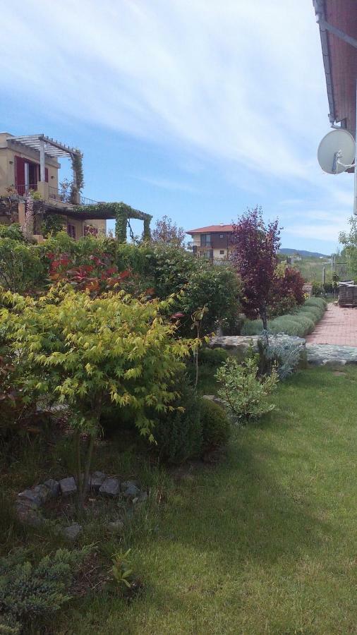 Синя Луна Hotel Lozenets Eksteriør billede